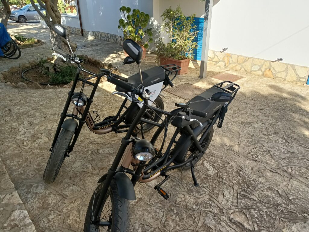 e-bike argentero